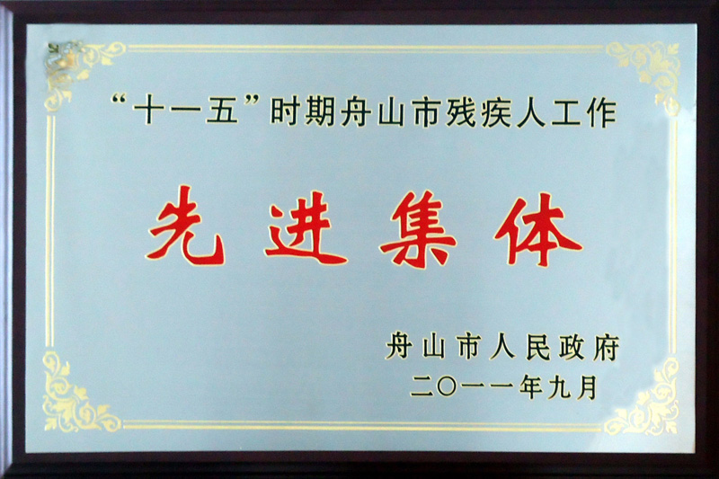 舟山市人民政府“十一五时期舟山市残疾人工作先进集体（2011）